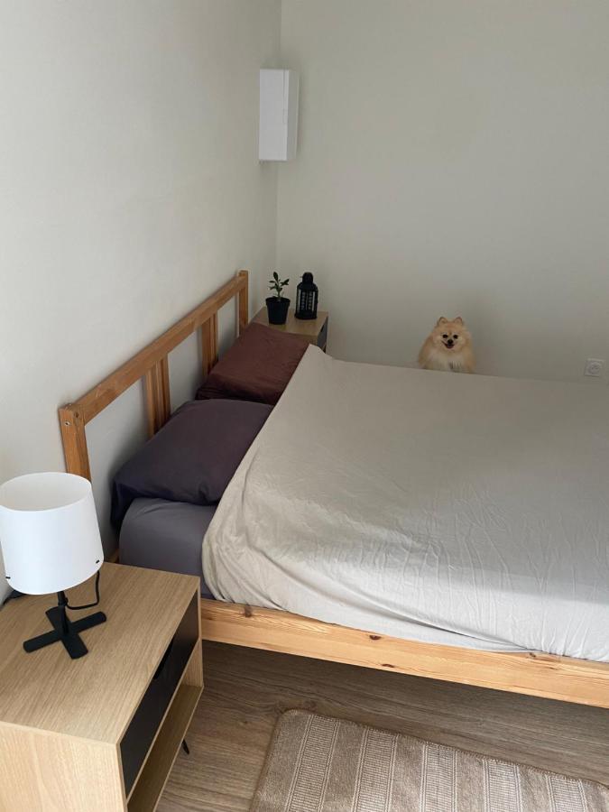 Charmant Appartement Avec Spa Fontenay-le-Comte Eksteriør billede