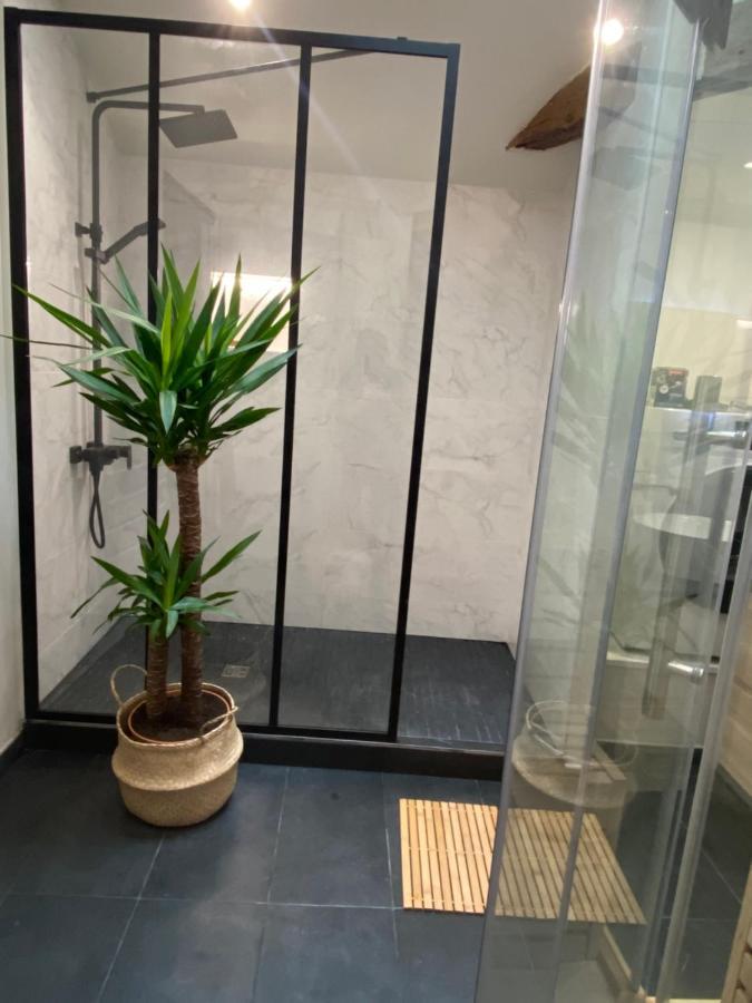 Charmant Appartement Avec Spa Fontenay-le-Comte Eksteriør billede